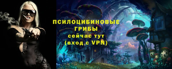 тгк Алексеевка